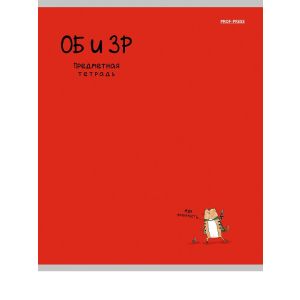 Тетрадь предмет. ОБиЗР «MINI FRIENDS» 48л  2513